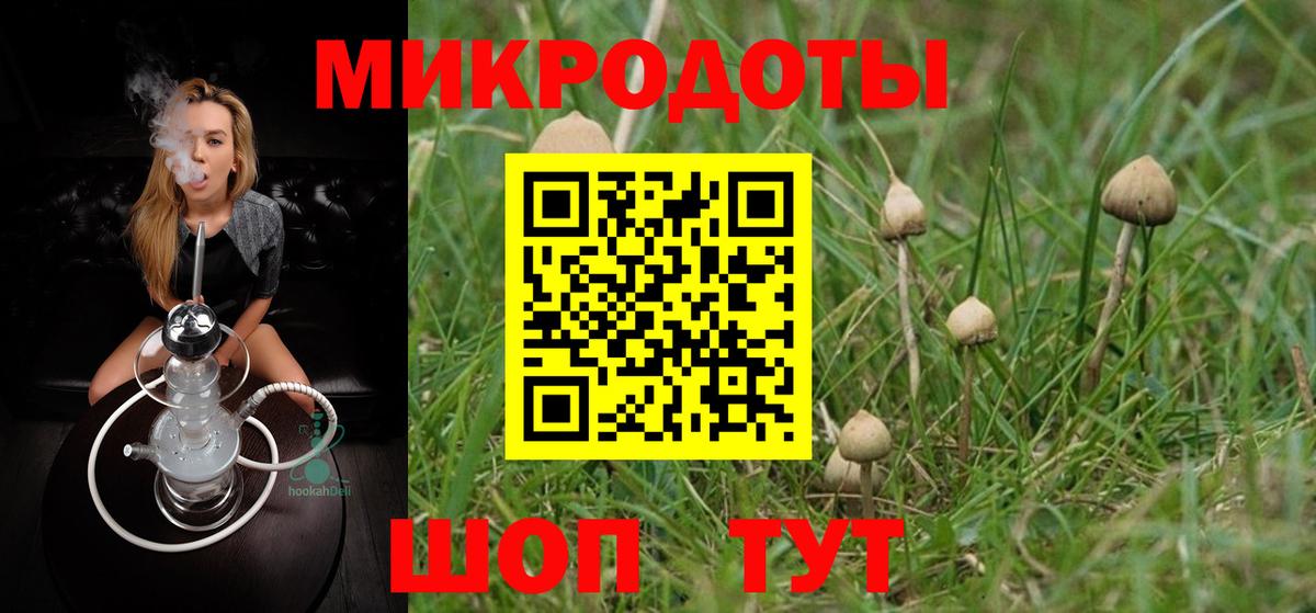 Галлюциногенные грибы Psilocybe Магнитогорск